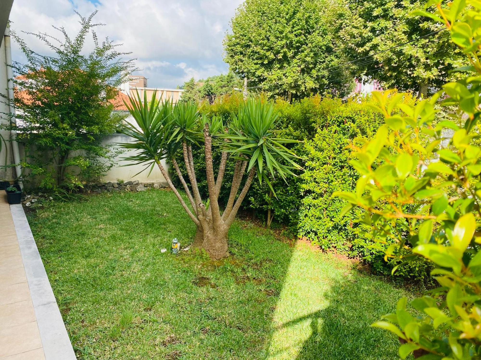 Essencyahomecoimbra Esterno foto